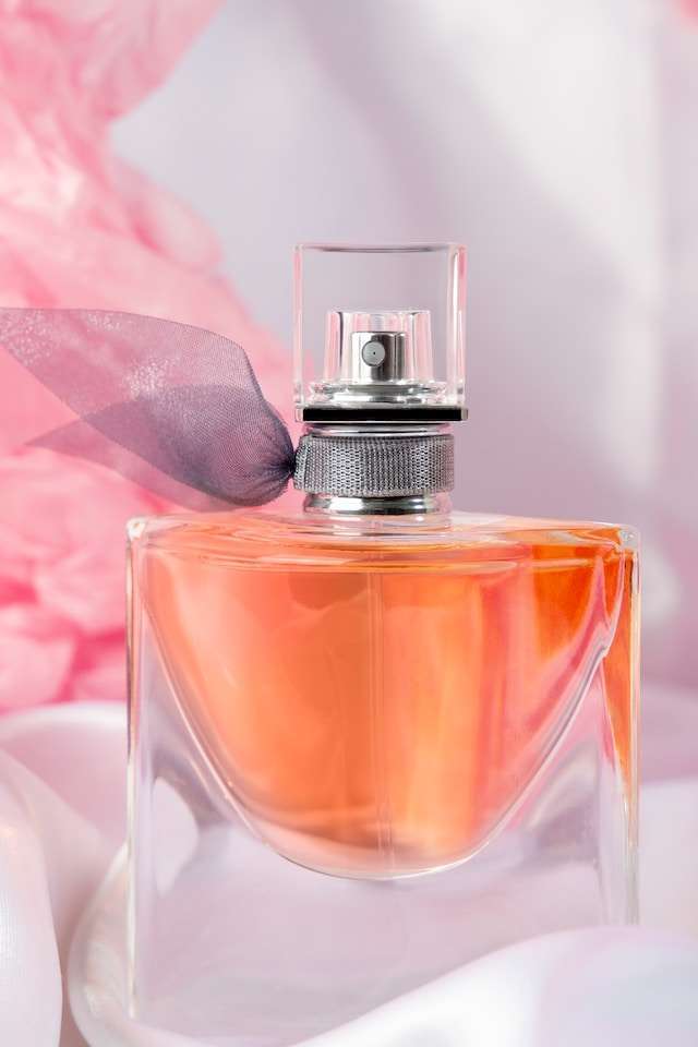 Paris Hilton By Paris Hilton Mehr Als Nur Ein Duft Ein Imperium Aus Glitzer Und Glamour